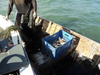 Pescadores estavam com 400 metros de rede e 15 quilos de pescado irregular