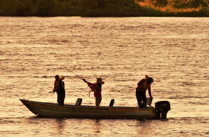 Proibição da Pesca em MS começa em novembro e vai até fevereiro