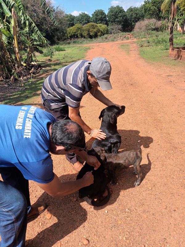 Inovação na saúde: ESF Rural e Ranchos leva saúde e proteção animal